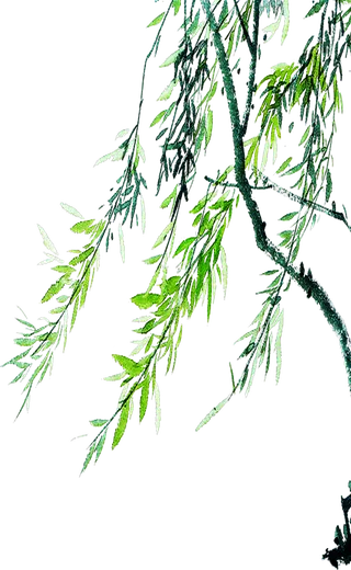 春天绿色春季水墨柳树柳条柳叶春季海报设计PNG免扣素材