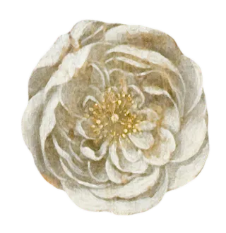 复古油画质感宫廷花卉植物花朵鲜花拼贴图案PNG免抠图片设计素材