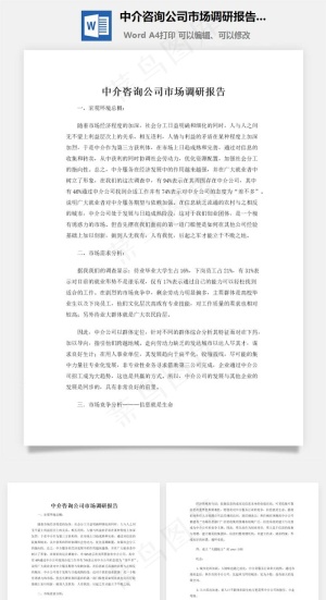 中介咨询公司市场调研报告word文档预览图