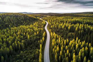 大片森林里的公路摄影图