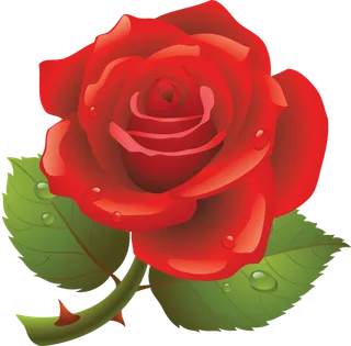 鲜花玫瑰免扣素材