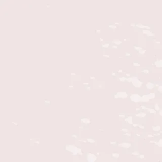 唯美素雅女性高端印花底纹背景ins风