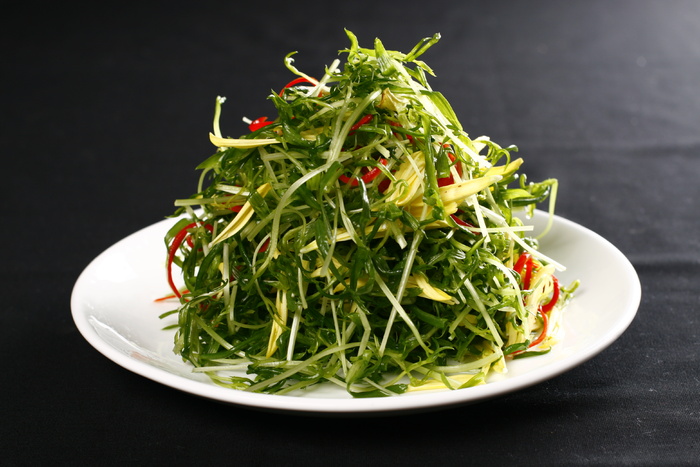 L01336金菊松柳芽 (5)