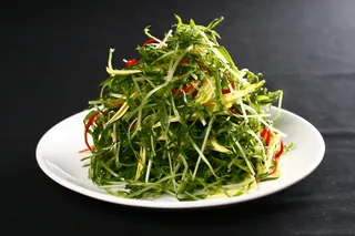 L01336金菊松柳芽 (5)