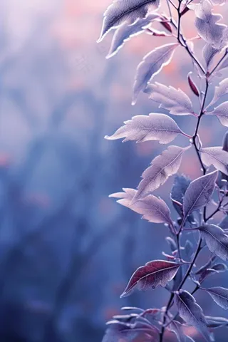 紫色枝叶清新背景