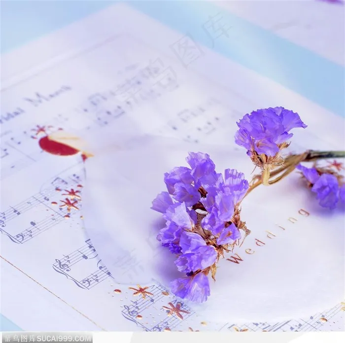 新婚物语-花朵与婚纱
