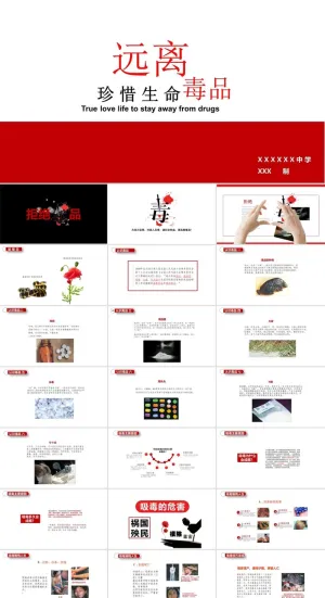 禁毒宣传PPT模板ppt模版预览图