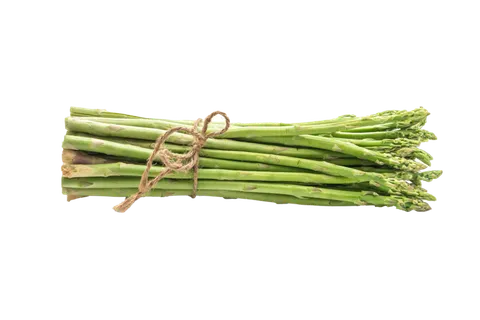 芦笋 (5)超市商品白底图免抠实物摄影png格式图片透明底