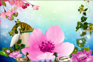 花卉双鸭背景风景