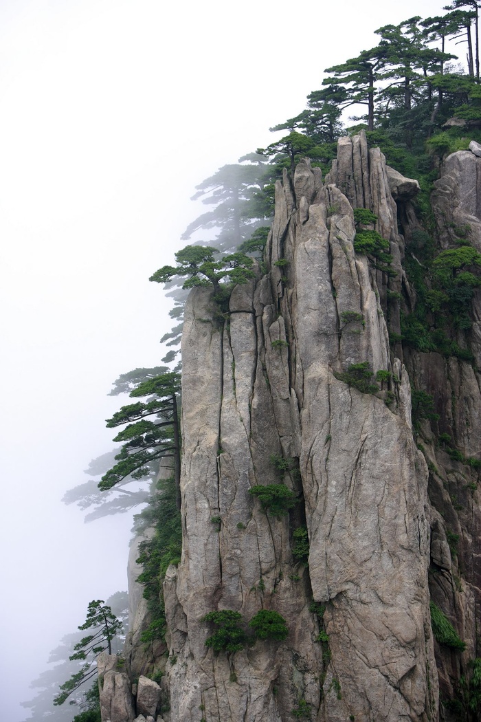 黄山怪石图片-第38张