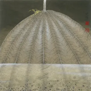 莲之舞荷花工笔画