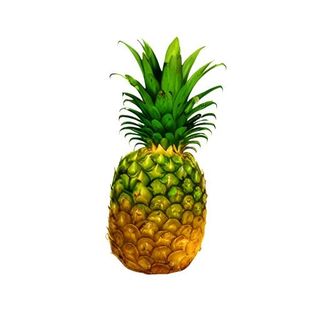 菠萝水果免抠