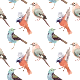 春鸟水彩剪贴画免抠素材