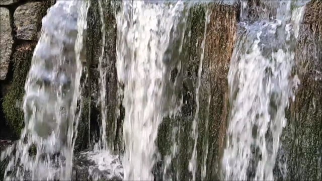 池塘情况, 瀑布, 水, 喷薄, 大自然