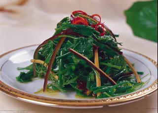 LCSC2018炝拌龙须菜