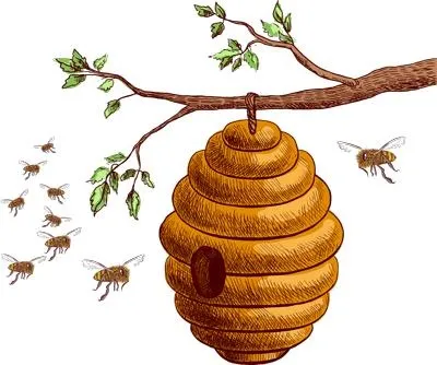 蜜蜂免抠(400x334)