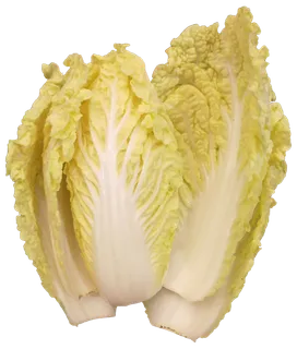 娃娃菜免抠摄影元素素材