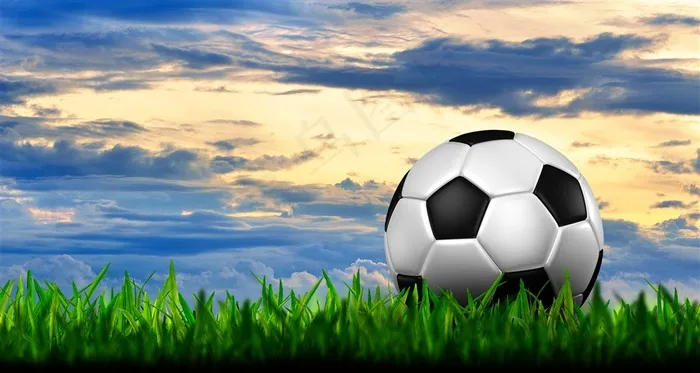 草坪上的足球图片