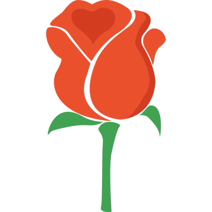 玫瑰花简笔画