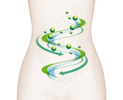 创意女性肠道减肥广告素材大图