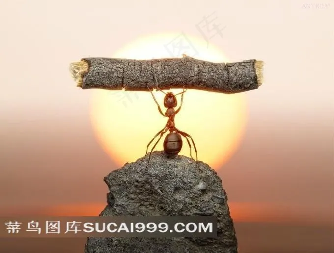 小身材 大志气