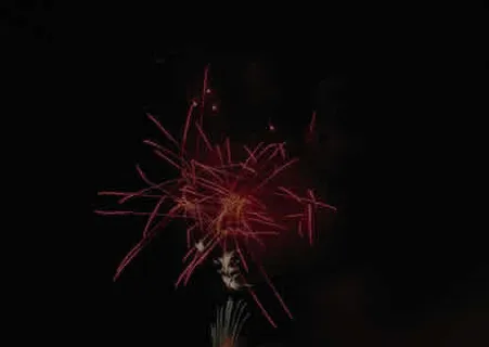 烟花图片 烟花图片