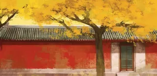 秋季宫墙树木落叶古风背景