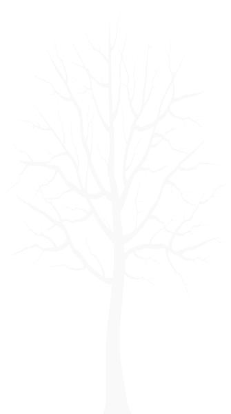 冬天 PNG免抠(335x600)