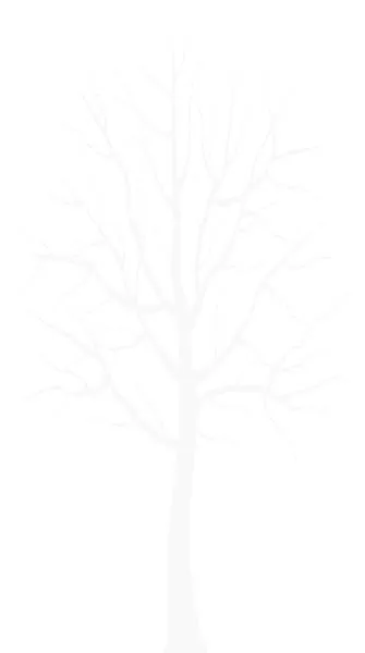 冬天 PNG免抠(335x600)