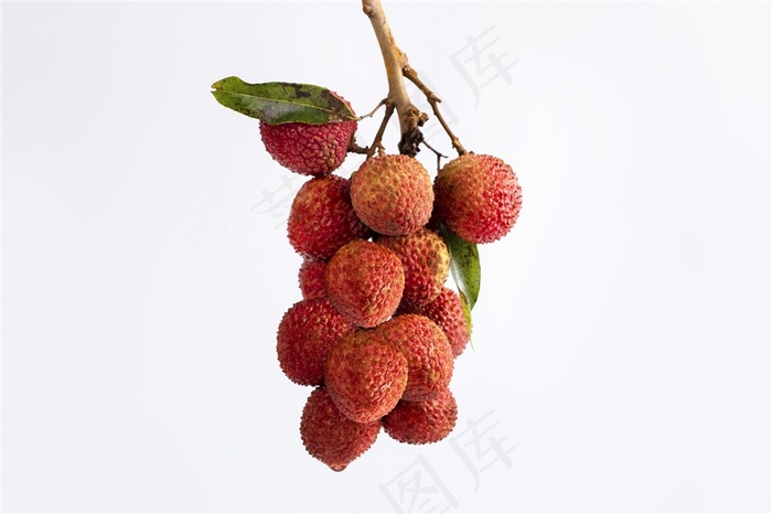 新鲜荔枝白色背景图片