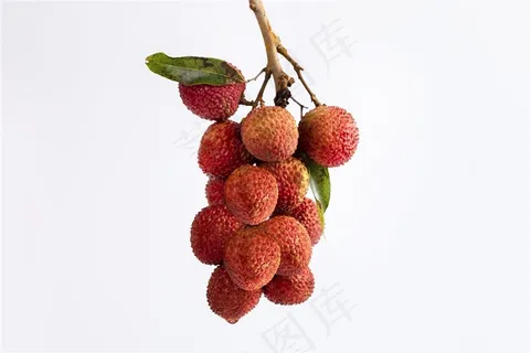 新鲜荔枝白色背景图片