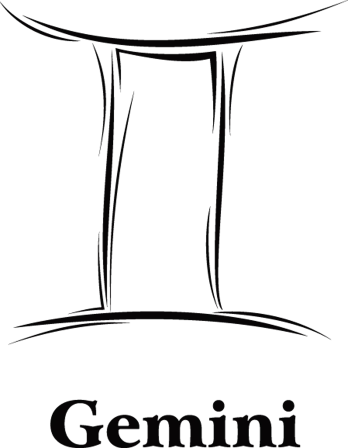 gemini图标