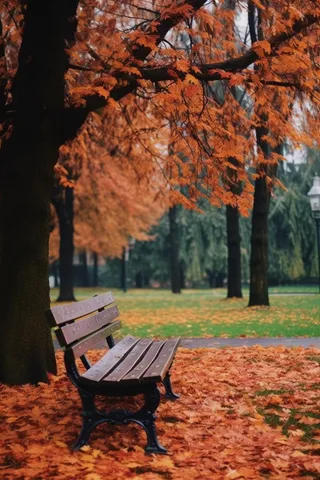 秋意浓公园长椅落叶摄影图