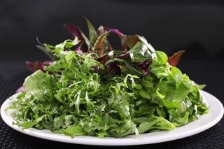 D00519靓汤山野菜 (6)