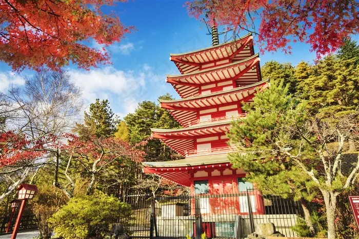 美丽的日本浅草寺景色写真图