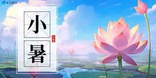 小暑节气夏日荷花天空插画海报