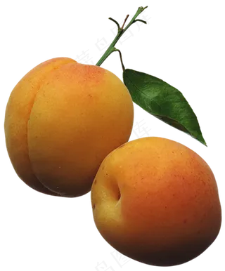 桃子免抠图片