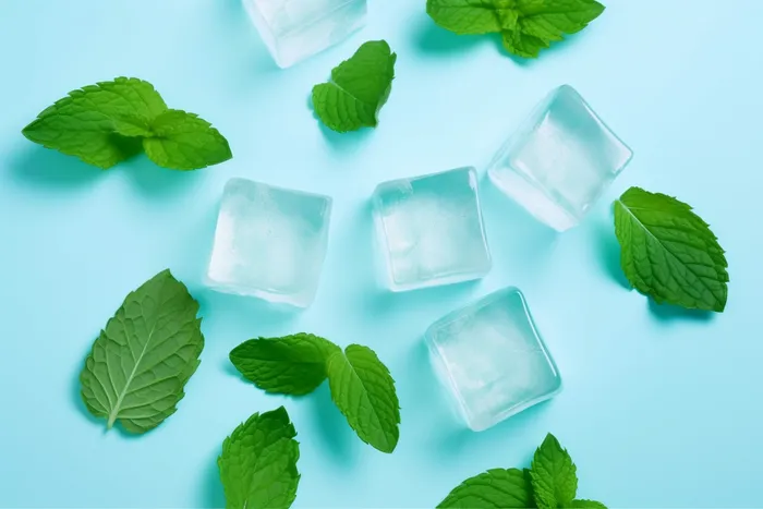 :一张照片是浅蓝色背景下的几个方形冰块和绿色薄荷叶