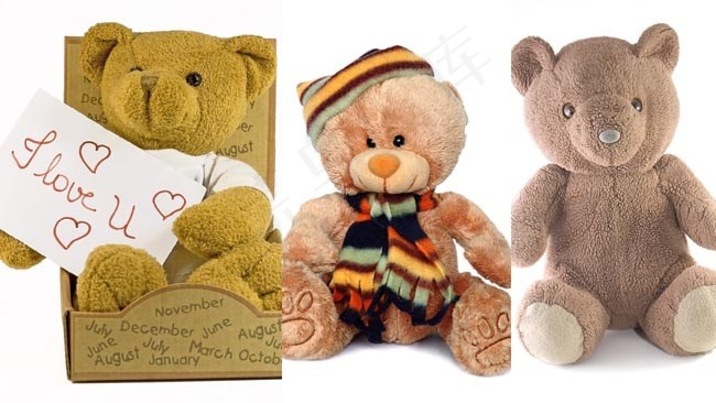 泰迪熊高清图片