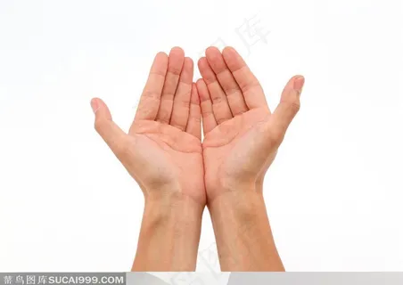 人物手势元素-双手捧起手势特写