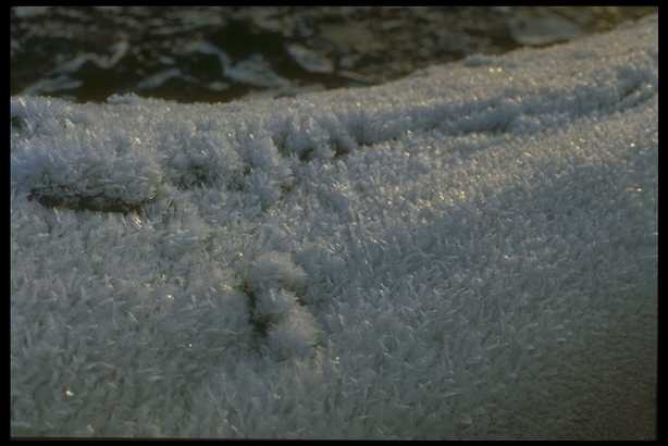 冰天雪地 628