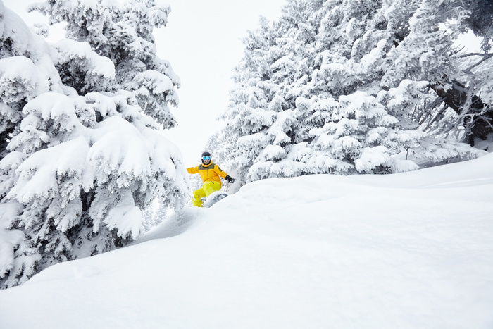 松树林里冬天的滑雪人物