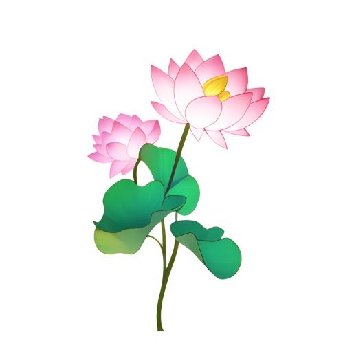 荷花莲花免抠