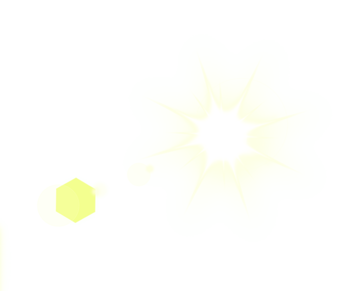 太阳阳光绽放