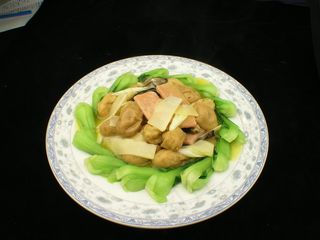 0404口袋豆腐