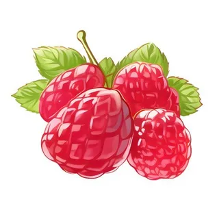 树莓水果免抠