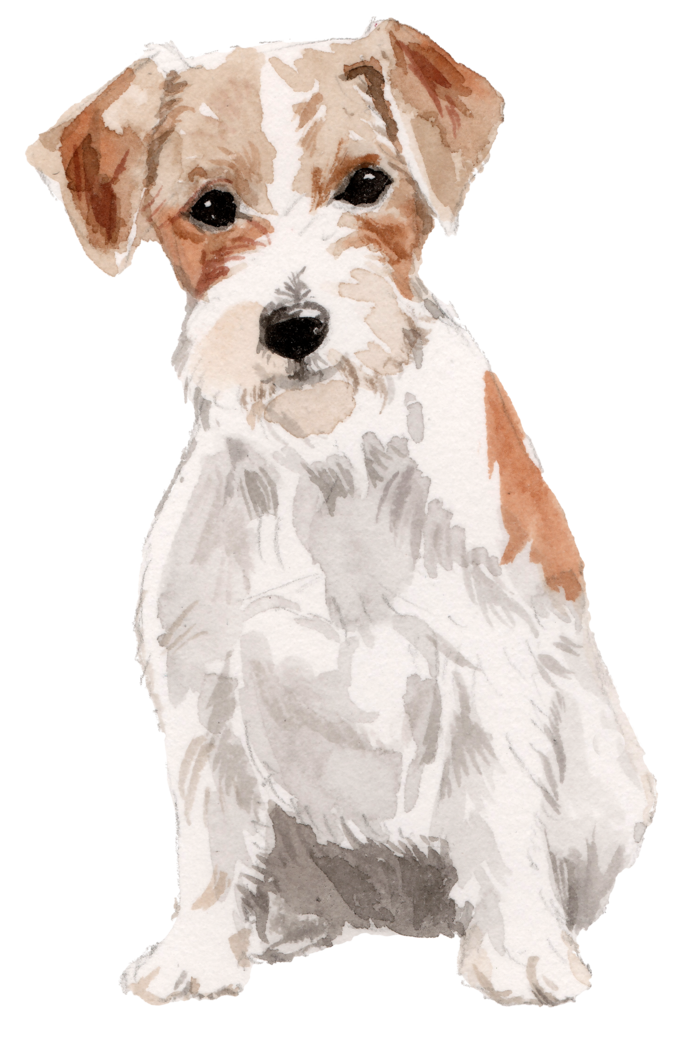 狗狗水彩画插画免扣素材可爱宠物狗