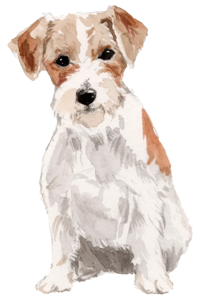 狗狗水彩画插画免扣素材可爱宠物狗