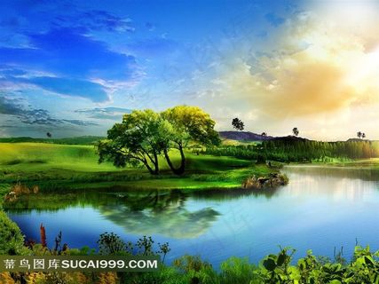 大自然草原风景图