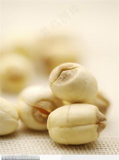 中医医疗-散落的白色莲子